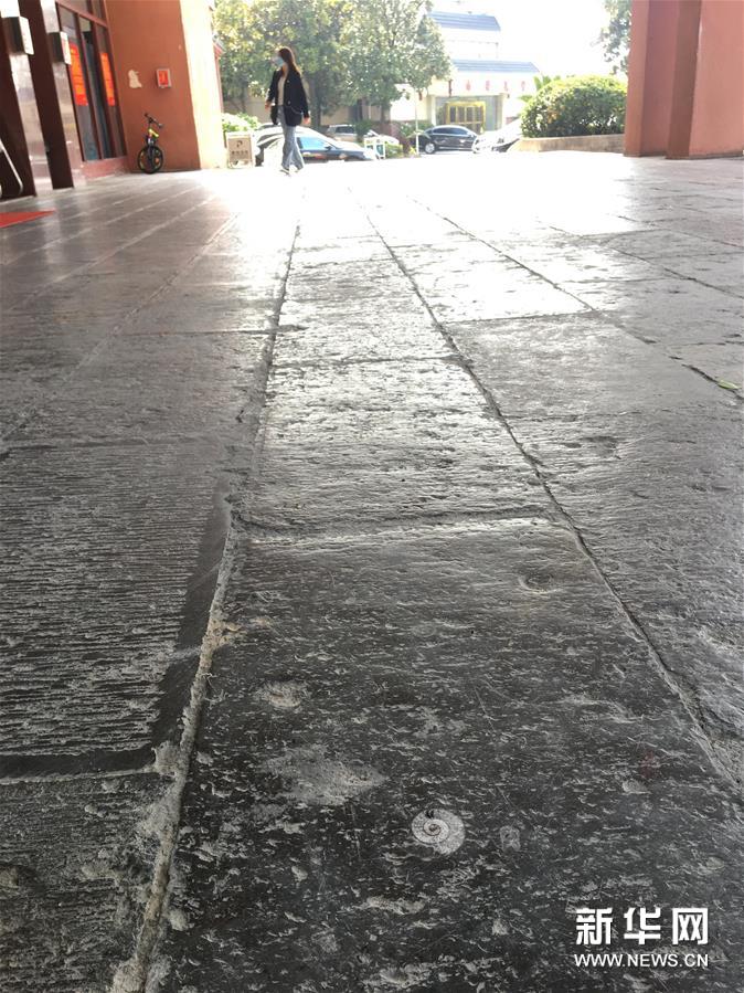 （图文互动）（4）张家界：几亿年前的“化石地板”记录沧海桑田